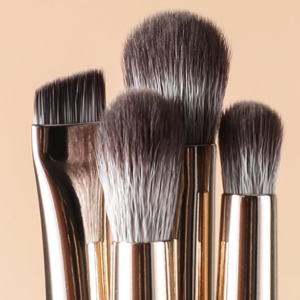 6-Piece Eye Makeup Brush Set with Blending and Angled Brow Brushes